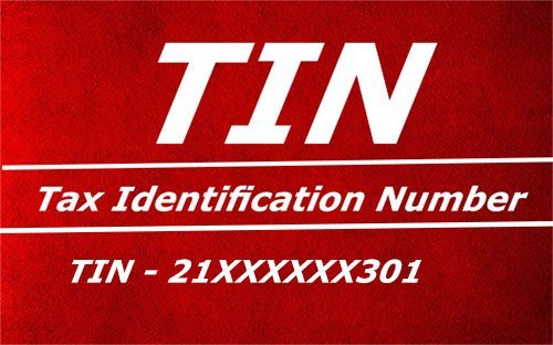 TIN Taxpayer Identification Number