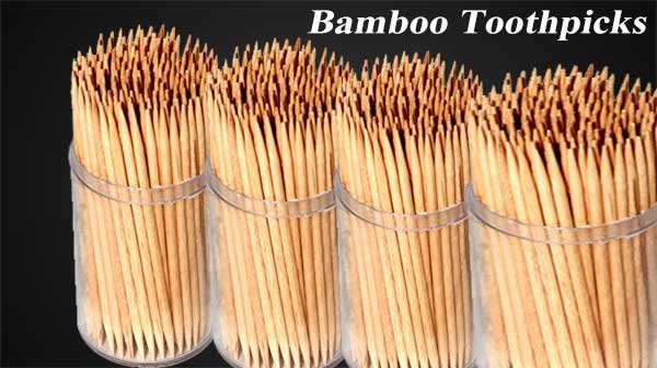 toothpicks manufacturing business
