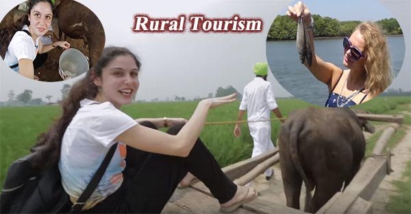 Rural tourism business 