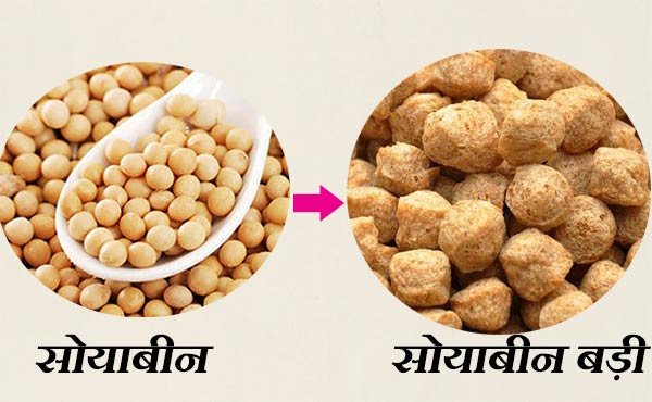 Soya chunks manufacturing business