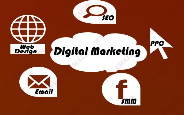 Digital-marketing agency-Components