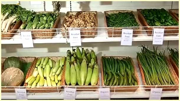 Organic Food Store Business