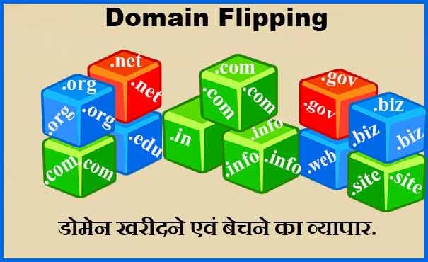 Domain flipping Business 