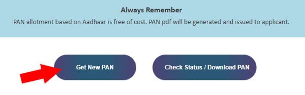 Step 2 to get pan on free online