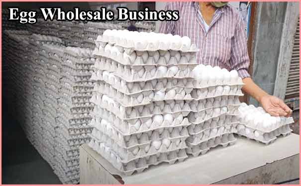 Egg Wholesale business in hindi